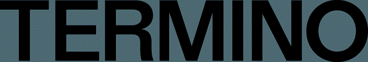 Termino