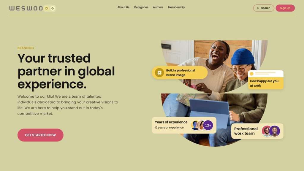 Shopify Plus 数据迁移方案：无缝切换赋能跨境独立站全球化增长