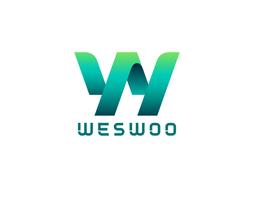 中小商家决策指南：Shopify vs WooCommerce深度解析